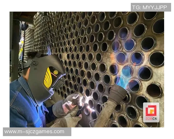 冠军杯特别报道LNG的成长历程与未来展望揭秘 冠军杯特别报道LNG的成长历程与未来展望揭秘