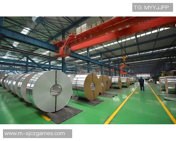 重磅专题TES的转型升级与创新发展路径探索 重磅专题TES的转型升级与创新发展路径探索